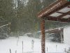 Olhe como fica o quintal da casa da Gisele no inverno! Olhe como fica o quintal da casa da Gisele no inverno!